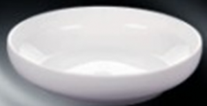 wl-100041